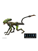 Prey Ultimate Feral Predator 7 Scale Action Figure"