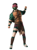 Tmnt Raphael
