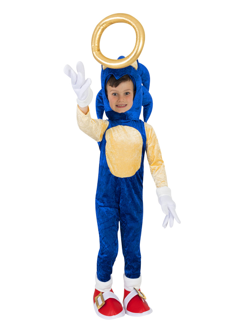 Sonic The Hedgehog Premium Costume