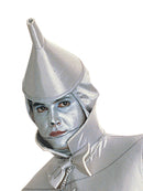 Wicked Witch Adult- Size Std