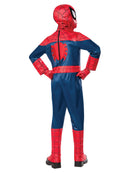 Spiderman Premium Costume