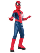 Spiderman Premium Costume