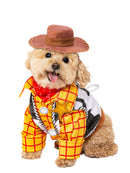 Woody Toy Story Pet Costume