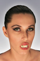 Skeleton Pirate Child Costume - Size 3-5