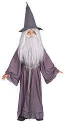 Gandalf Costume