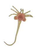 Alien Life-size Egg And Facehugger Foam Replica