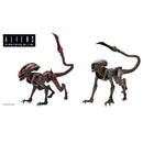 Assortment -  Aliens Firearm Team Prowler & Runner 7 Scale Action Figures"