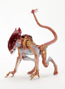 Aliens Night Cougar Kenner Tribute 7 Scale Action Figure"
