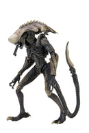 Aliens Arachnoid Alien Vs Predator 7 Scale Action Figure"