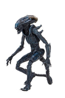 Aliens Fireteam Elite - Burster 7 Scale Action Figure"