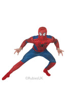 Amazing Spiderman 2 Adult