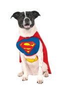 Superman Classic Pet Costume