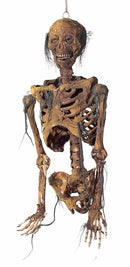 Hanging Rotted Corpse Torso