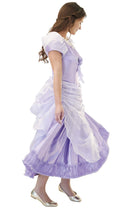 Clara From The Nutcracker Deluxe Costume