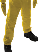 Chica Costume