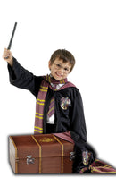 Harry Potter Costume - Size 11-12