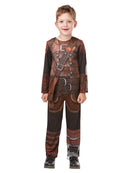 Hiccup Classic Costume