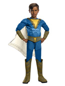 Freddy Freeman Deluxe Shazam Costume