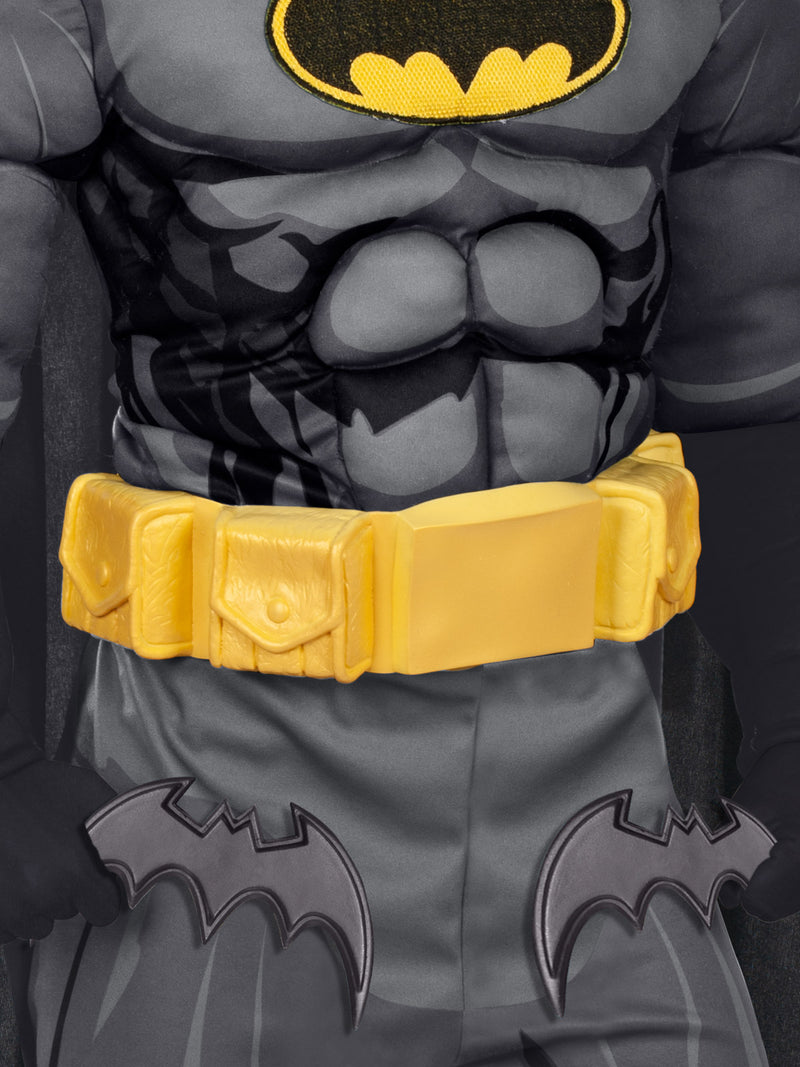 Batman Premium Costume