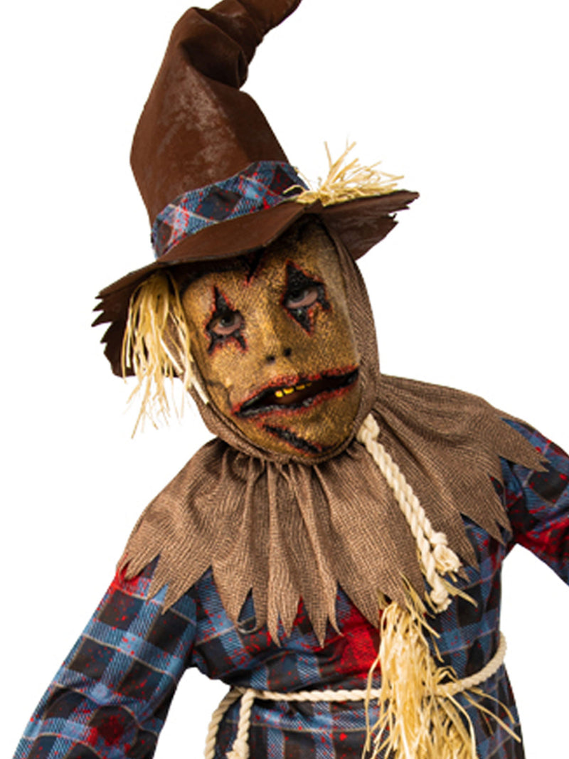 Scarecrow Costume