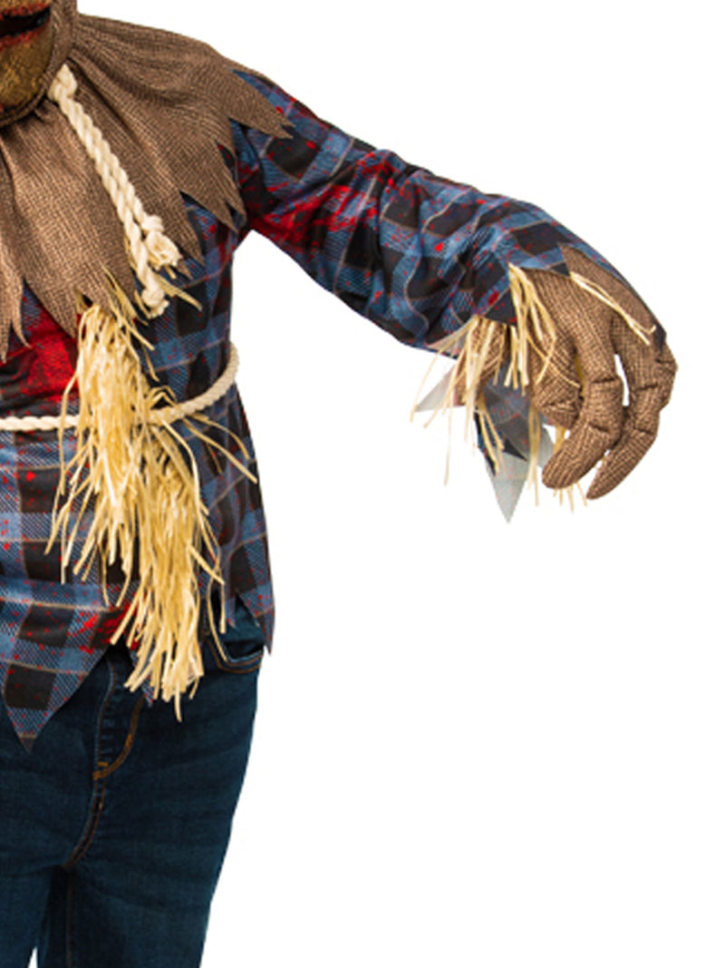 Scarecrow Costume