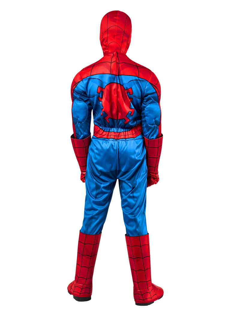 Spider-man Deluxe Costume