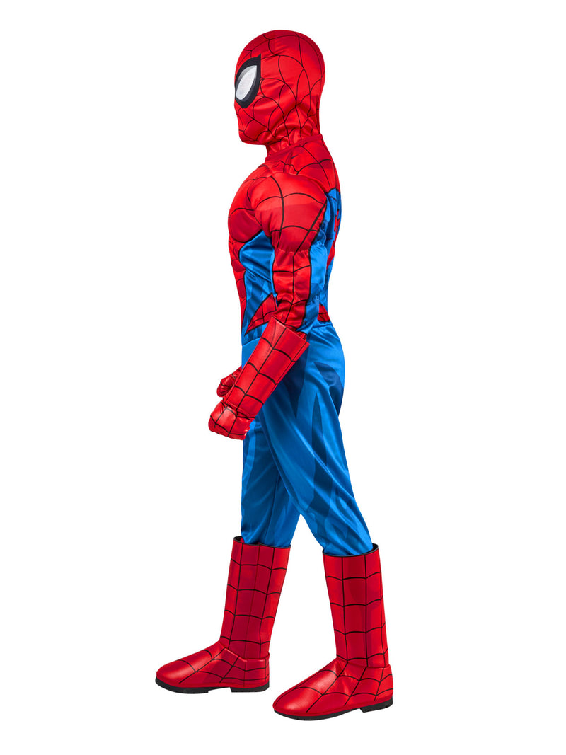Spider-man Deluxe Costume