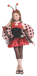 Lady Bug Tween
