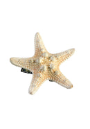 Mermaid Star Fish Hairclip