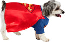 Superman Big Dog Pet Costume