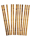 Bamboo Printed Luau Straws