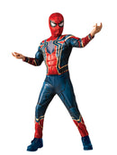 Iron Spiderman Deluxe Costume