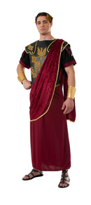 Forest Prince Costume - Size Std