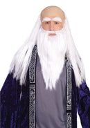 Wizard Disguise Set