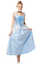 Cinderella Costume