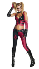 Harley Quinn Deluxe Costume