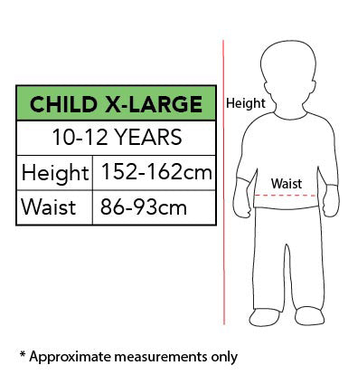 Hiccup Battlesuit Costume - Size 9-10 Yrs