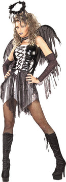 Fallen Angel Secret Wishes Costume