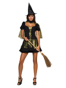 Wicked Witch Of The West Secret Wishes