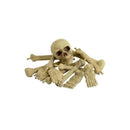 Costumes Australia Size Chart Bag Of Bones And Skull Adult Natural