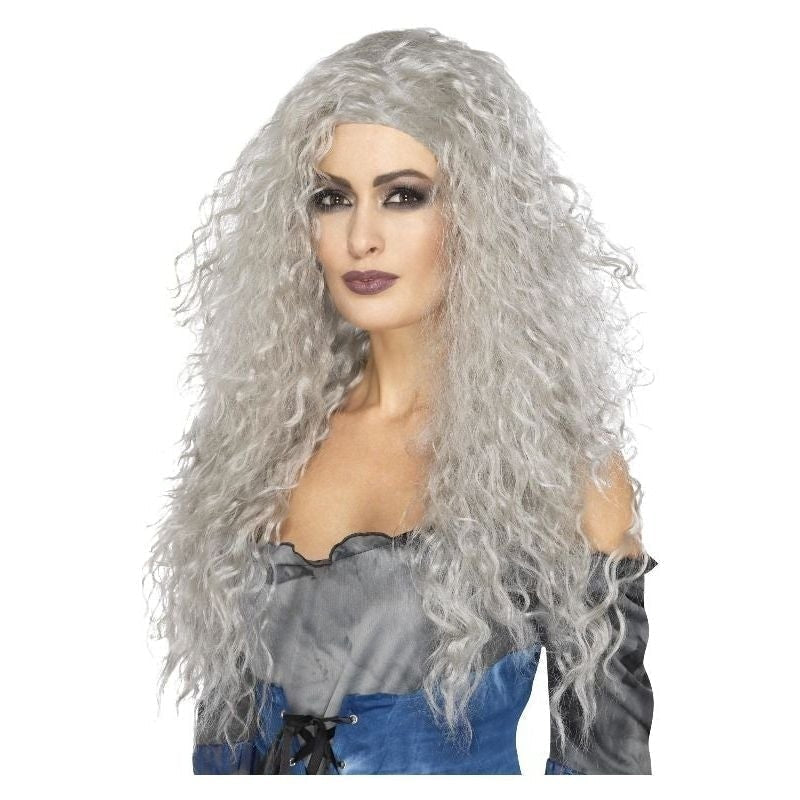 Costumes Australia Banshee Wig Adult Grey Long_2