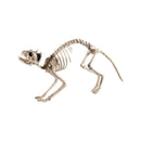 Costumes Australia Size Chart Cat Skeleton Prop Adult Natural