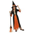 Costumes Australia Gothic Witch Kids Costume_1