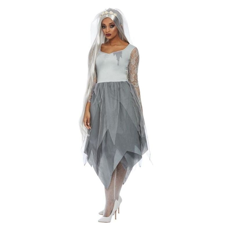 Costumes Australia Grave Yard Bride Costume Grey_1