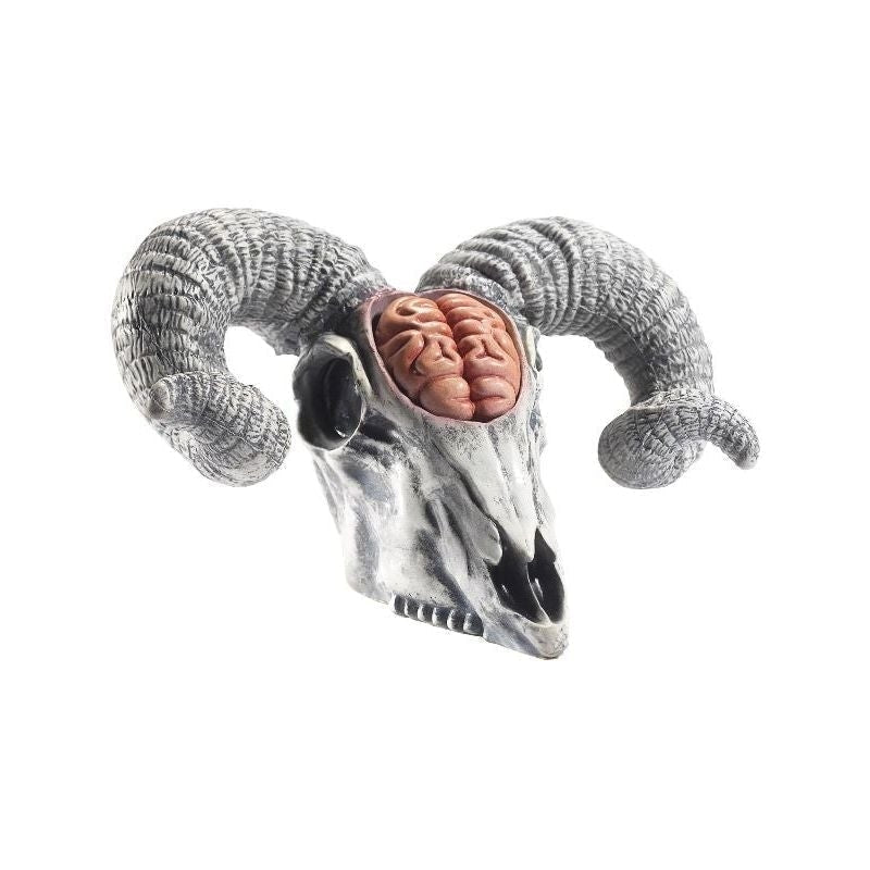 Costumes Australia Size Chart Latex Rams Skull Prop With Exposed Brain Adult Natural