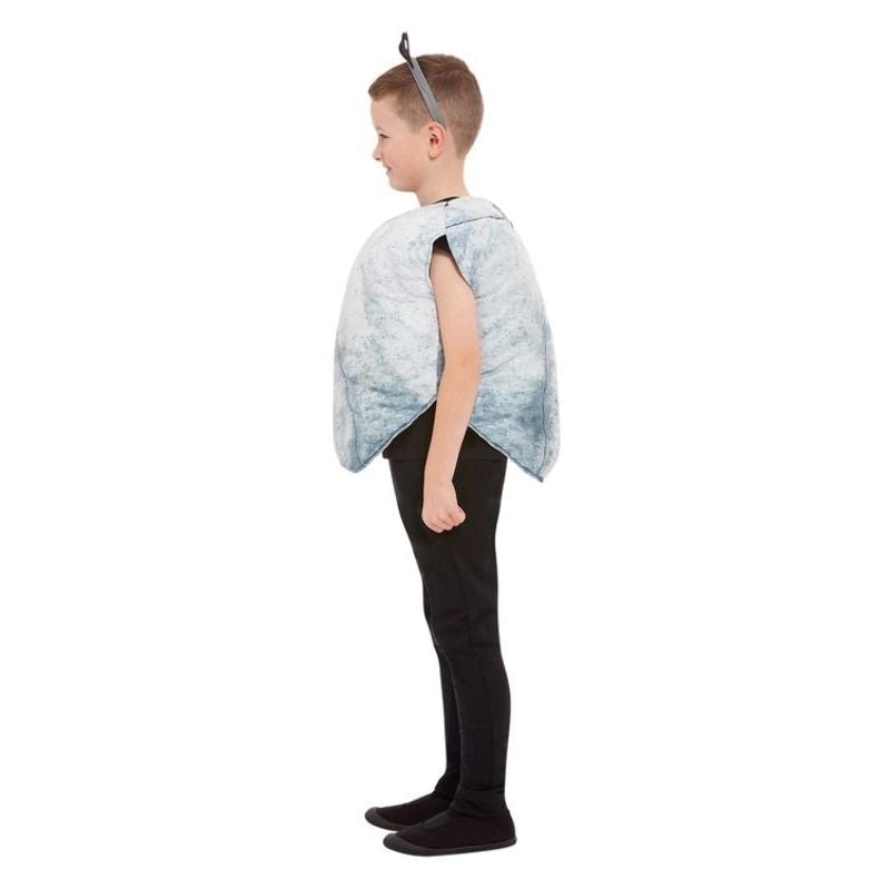Costumes Australia Rock Costume Grey_3
