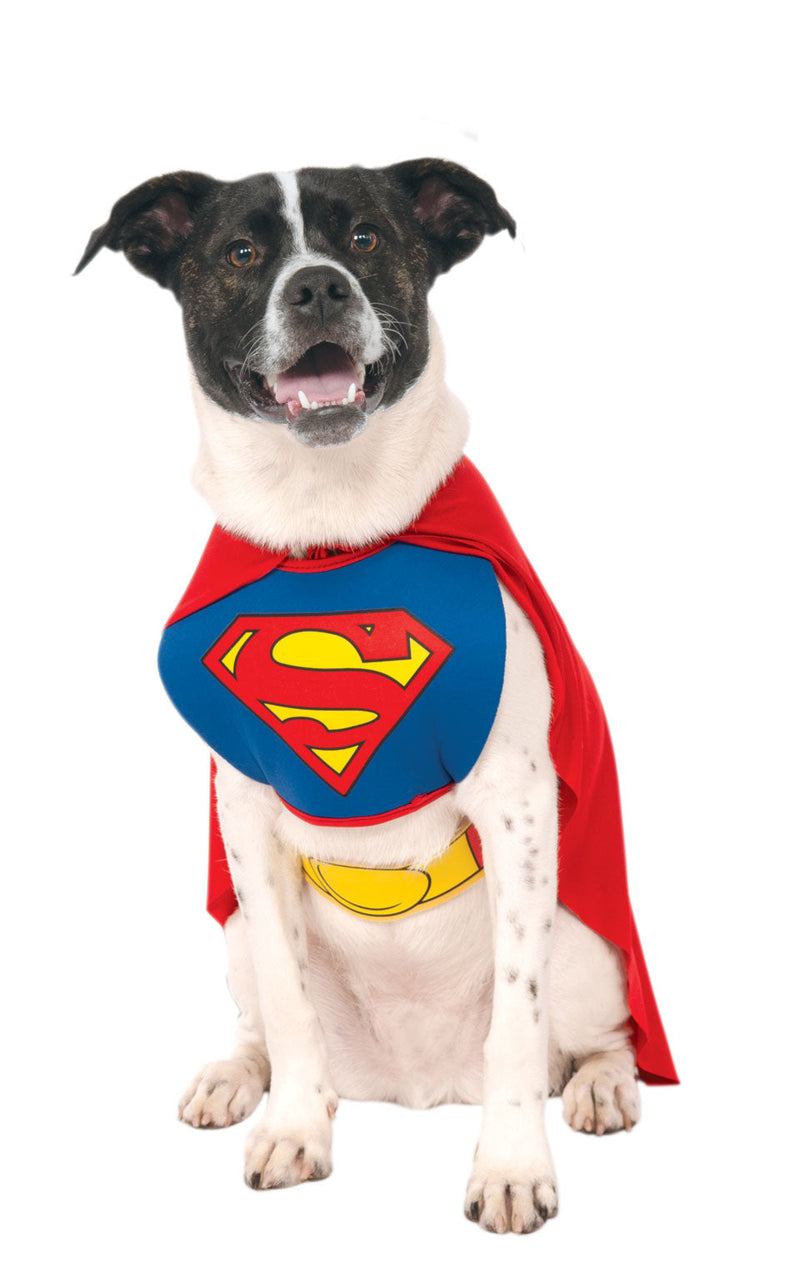 Costumes Australia Superman Dog Costume_1