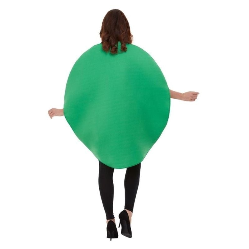 Costumes Australia Watermelon Costume Adult Red Green Sliced Tabard_3