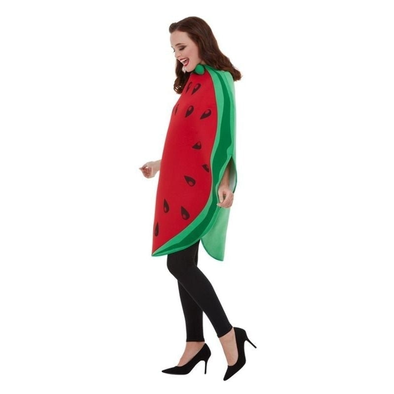 Costumes Australia Size Chart Watermelon Costume Adult Red Green Sliced Tabard