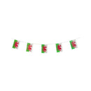 Costumes Australia Welsh Rectangle Bunting Adult Multi_1